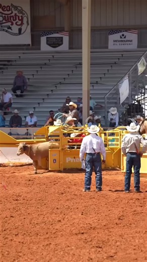 3.8K views · 612 reactions | Western Wednesday with CSI Elite Athlete, Evan Arnold. Evan rides the 32” Square Cut with the Coats Wool liner. : @patrick.tillman.photography #csichamp #csipads #csisaddlepads #handmade #USA #horse #westerntack #tack #rodeo #cowboy #heeler #heelshot #heelhorse #coatsliner #coatscsipad CSI Saddle Pads are proudly 100% Handmade in the USA  | CSI Saddlepads | Facebook