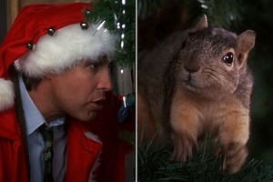 'Christmas Vacation' cast recalls trained squirrel dying before iconic scene: 'I destroyed the magic'