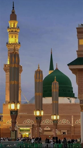 Understanding the TikTok Video Removal Process