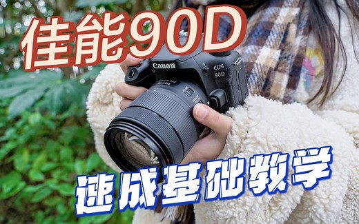 【超详细教学】佳能 90D ：速成基础教程