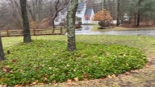 63K views · 203 reactions | Terry shared this video from Hope, Rhode Island, where wind gusts hit 54 mph. Share your weather video at https://turnto10.com/chimein | NBC 10 WJAR | Facebook