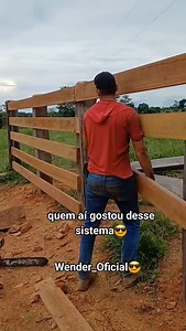 1.3M views · 38K reactions | Oque achou da minha ideia #viraliza #viral | Wender Soares | Facebook