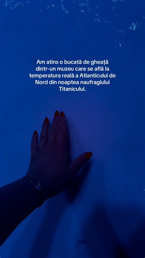 𝐀𝐥𝐞𝐱𝐚𝐧𝐝𝐫𝐚 | TRAVEL BLOGGER & SMM on Instagram: "Expoziția include o 𝐬𝐞𝐜𝐭̦𝐢𝐮𝐧𝐞 𝐢𝐦𝐞𝐫𝐬𝐢𝐯𝐚̆ care te face să retrăiești ultimele ore ale călătoriei Titanicului prin imagini, sunet și efecte vizuale. 𝐁𝐢𝐥𝐞𝐭𝐮𝐥 𝐕𝐈𝐏 𝐢𝐧𝐜𝐥𝐮𝐝𝐞 𝐬̦𝐢 𝐞𝐱𝐩𝐞𝐫𝐢𝐞𝐧𝐭̦𝐚 𝐕𝐑 (realitate virtuală) care simulează coborârea la epava Titanicului cu un submarin, călătoria pe punte înainte de impact, vizitarea locurilor iconice din film, trăiești momentul scufundării vasului, te plimbi pri