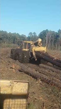 South Carolina 🌴 swamp logging 🪵