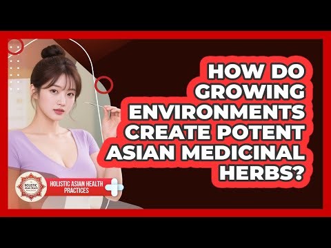 How Do Growing Environments Create Potent Asian Medicinal Herbs? - Holistic Asian Health Practices