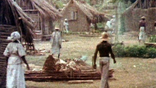 Life on a plantation