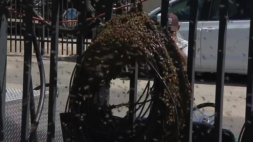 11K views · 320 reactions | The paddock is buzzing here at Texas Motor Speedway. #INDYCAR // #PPG375 | NTT INDYCAR SERIES | Facebook