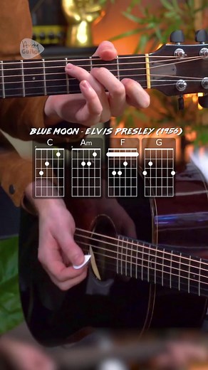 90K views · 995 reactions | 'Blue Moon' the Elvis Presley version, with a classic 50's chord progression! How many other songs can you think to play with these exact chords? Let me know ️  | Andy Guitar | Facebook