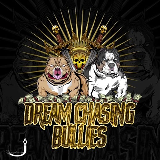 DREAMCHASINGBULLIES on TikTok