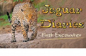 270 reactions · 18 shares | So here’s a lovely 5 minute video for you...