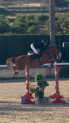 Caramoon just keeps raising the bar! Another day, another ranking class, another clear 🥳 finishing 9th today. Still 100% clear in ranking classes so far! Every round with this horse is pure joy. | Adam Grzegorzewski