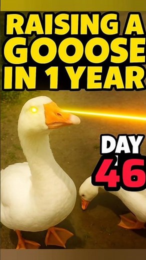 Day 46 With My Goose – See the Change! week 21
