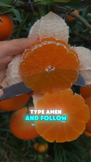 182K views · 7.6K reactions |  Want to attract money in 24 hours? ✨ This simple trick can unlock abundance & prosperity fast!  Don’t miss out—tap here now: https://tinyurl.com/moneybrainkey . . . . . . . #affirmation #affirmations #affirmationoftheday #wealthcreation #attractmoney #lawofattractionmoney #lawofattraction #buddha #sprituality #awakening #usa #newyork #losangeles | Law of attraction | Facebook