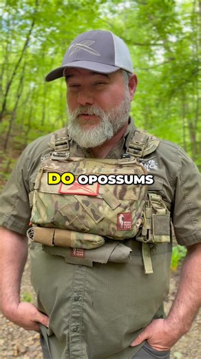 175K views · 3.8K reactions | You’ve seen the posts: “Opossums eat...