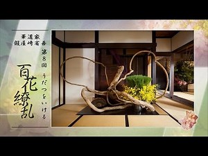 第8回 華道家假屋崎省吾 うだつをいける～百花繚乱～