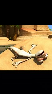 Crocodile playing with oasis 🤫😜 #crocodile #animals #cartoon #funny | Comedy oasis