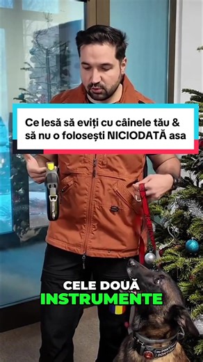 Ce lesă să folosești în perioada asta afară.... Și să nu ții lesa NICIODATĂ AȘA! #caine #dresaj #sanatate #Romania #tudorestischimbarea