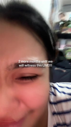 Seventeen's Highly Anticipated Concert in Bulacan