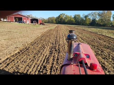 Disking with the Farmall super M