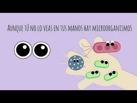Experimento || ¿Bacterias, virus y hongos en tus manos? || Ciencia para niños