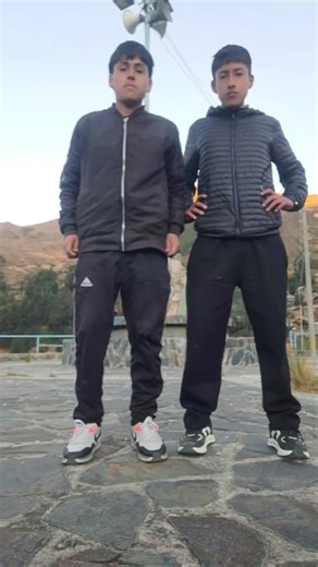 Descubre el divertido mundo de los pingüinos