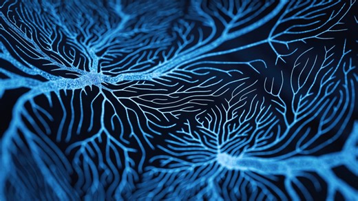 Latest MRC opportunities and news