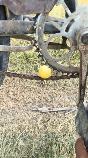 Circle Mast Video #circle #harvesting #punjab