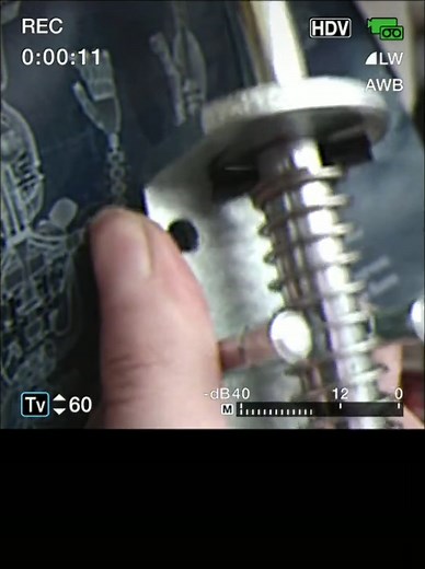 the springlocks for springbonnies head came today