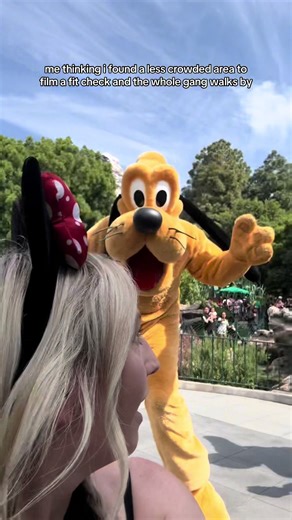 Disneyland Adventure with Mickey and Friends