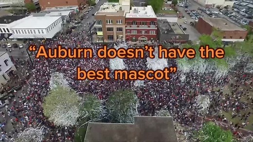 Meet Aubie the Tiger: Auburn University's Beloved Mascot