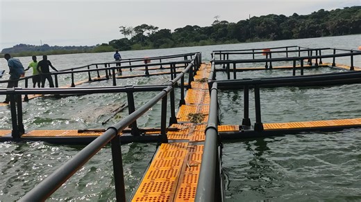 HDPE Floating Tilapia Fish Farming Cages With Fish Cage Floater
