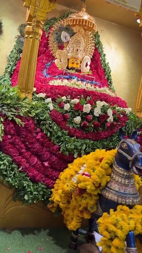 The history 🌹🌹🌹🌹🌹 of the camera spans several centuries, evolving from basic optical devices to sophisticated digital systems. Below is an overview of key milestones: 1. Camera Obscura: displayed images but couldn’t capture pictures. 2. First Photograph: Niépce took the first photo (1826). Daguerreotype (1839) made the process faster. 3. Film Era: Calotype (1841), Kodak’s 100-photo camera (1888), and Leica’s 35mm film (1930s) popularized photography. 4. Color Photography: Autochrome (1907) 