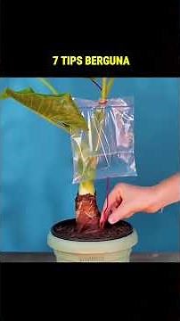 7 practical tips taught by smart people #short #usefultips