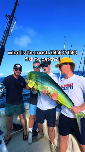 So many out there lol #fishing | fishing