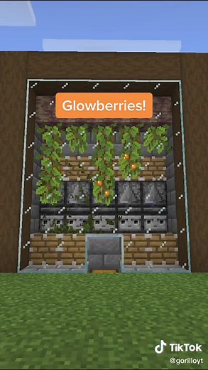 Minecraft 1.17 Starter Farms Guide
