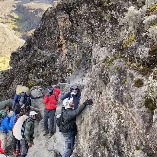 🌄 Scale the Heights of Kilimanjaro – Your Epic Trek Awaits in 2025! 🏔️🌍 Mount Kilimanjaro is calling you to take on an unforgettable adventure. With its snow-capped summit, diverse landscapes, and once-in-a-lifetime experience, the Kilimanjaro trek is the ultimate challenge for any adventurer. ✨ Trek Highlights: ⛰️ Majestic Views from the Roof of Africa 🌿 Journey through Lush Rainforests and Alpine Meadows 🏕️ Expert Guides and Comfortable Campsites 🌅 Sunrise at Uhuru Peak – A Moment to Rem
