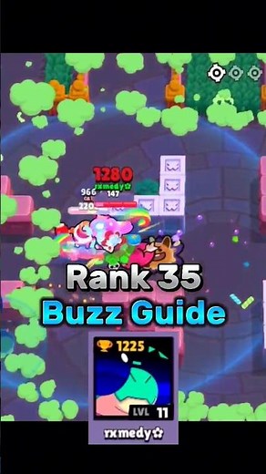 Rank 30 Buzz Guide
