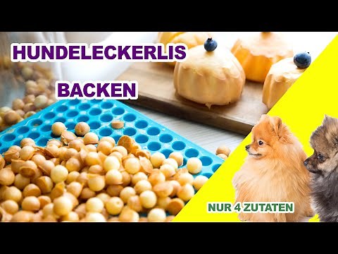 DIY Hunde Leckerlis selber backen einfaches Grundrezept #backen #DIY #hunde #dog #tasty #pomeranian
