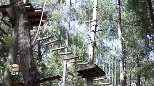 🌳Discover the Orlando Tree Trek Adventure Park: Family-friendly aerial adventure minutes from Disney