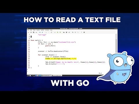 How to Read a Text File with Go