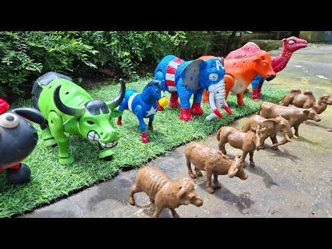 Cows, Elephants, Buffalo, Sheep, Horses, and Camels Giving Birth | Cows Taking a Mud Bath