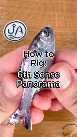 How to rig the Panorama Bait 3 Ways #fishing #bassfishing #fishingtips