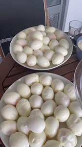 50 Hard Boiled Egg Challenge | Nela Zisser