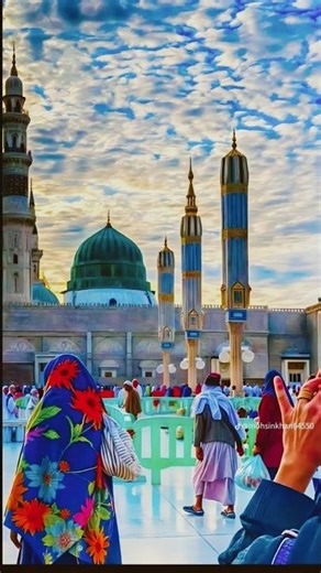 shahe arab muskul kusha #shortvideo #allahhuallah 🤲🌹♥️❤️❤