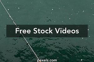 Fish Gif Videos, Download The BEST Free 4k Stock Video Footage & Fish Gif HD Video Clips