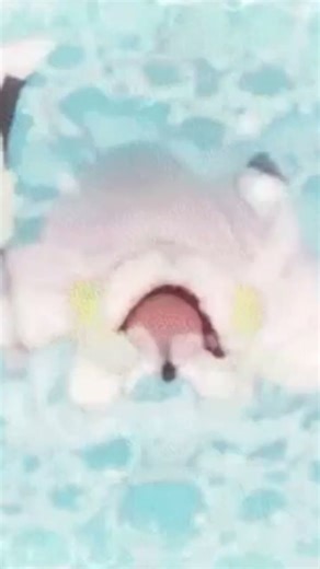 captain gray bread #onepiece