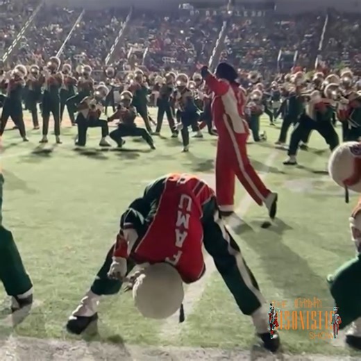 Jayell Risonistic Evans on Instagram: "Marching 100 Dance Routine Intro FAMU vs JSU #fblifestyle #tryouts"