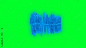 4k Anatomy Tooth green screen technology video. Anatomy Tooth technology video, Anatomy Tooth 360 turn, Anatomy Tooth wireframe video
