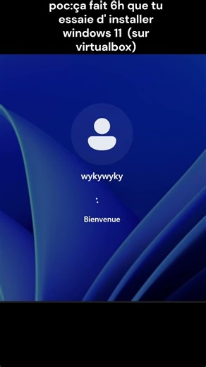 POV: windows sous frozen a l'instalation #windows11 #virtualbox #meme