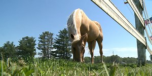 Interview: Truck show and convoy to support wounded veterans programs